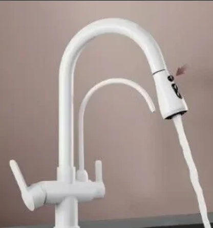 2-in-1 Küchenarmatur mit Filteranschluss – 360° drehbar